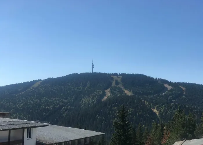 Апартамент люси